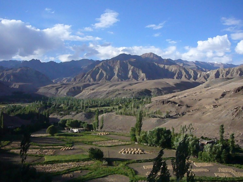 Alchi